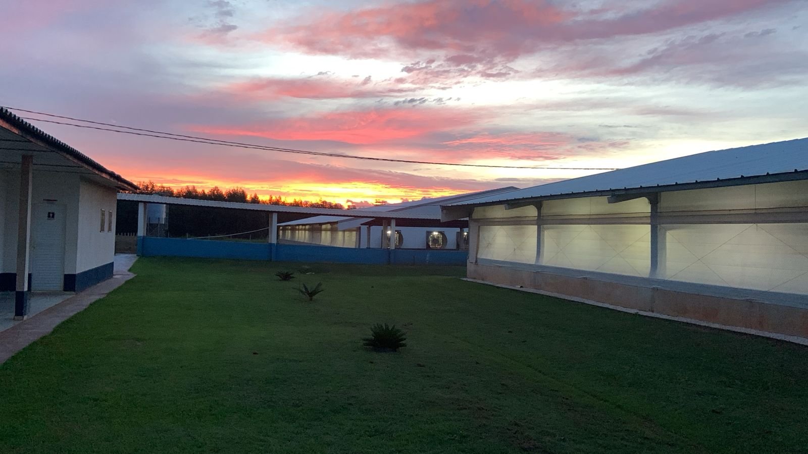 BB e FutureCarbon destravam créditos de carbono no agronegócio